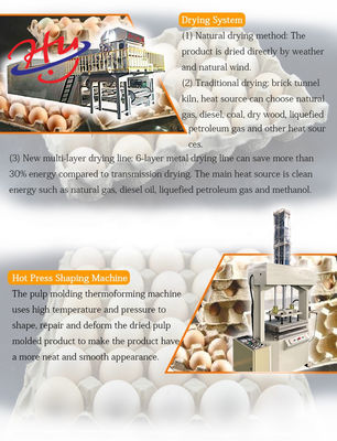 機械ずき紙のパルプの鋳造物システムびんの皿の生産ラインを作る7000PCS/H卵の皿